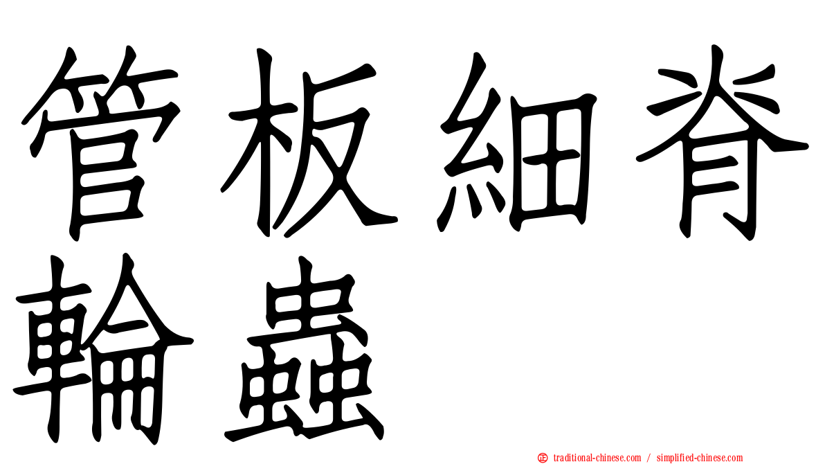管板細脊輪蟲