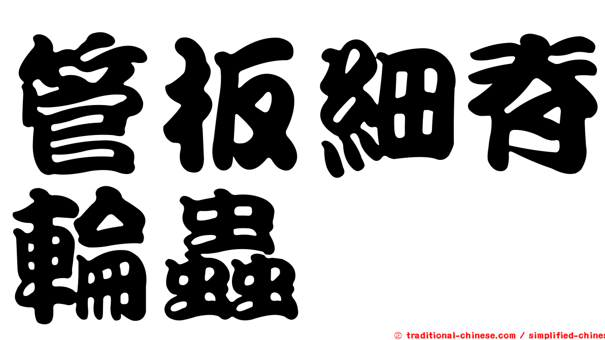 管板細脊輪蟲