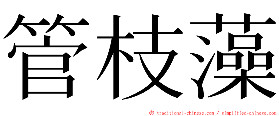 管枝藻 ming font