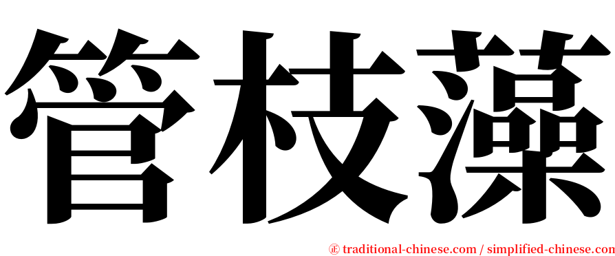 管枝藻 serif font