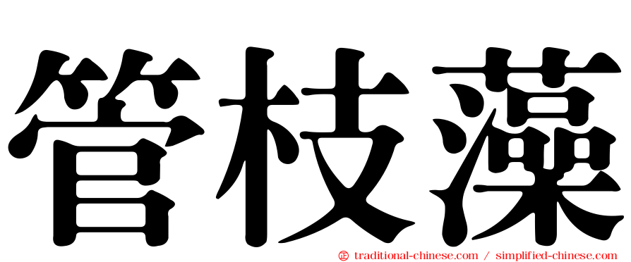 管枝藻