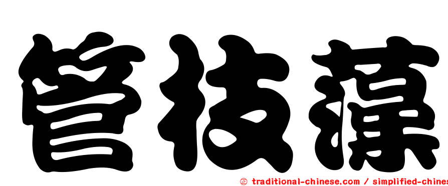 管枝藻