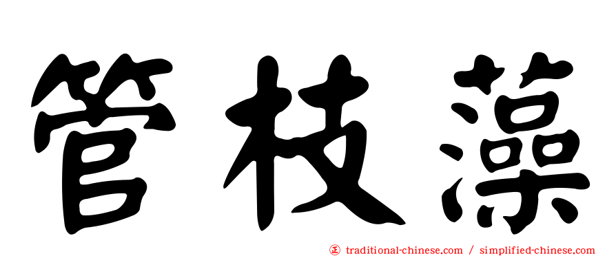 管枝藻