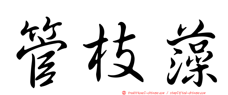 管枝藻