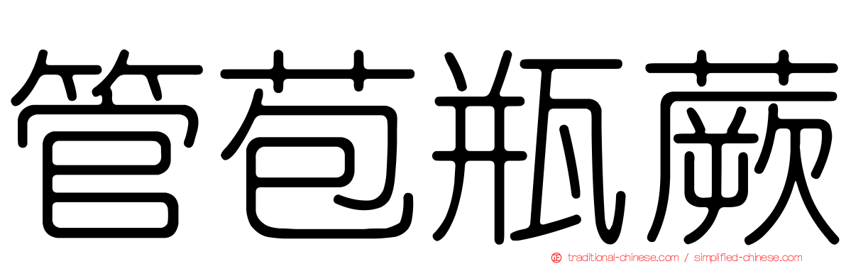 管苞瓶蕨