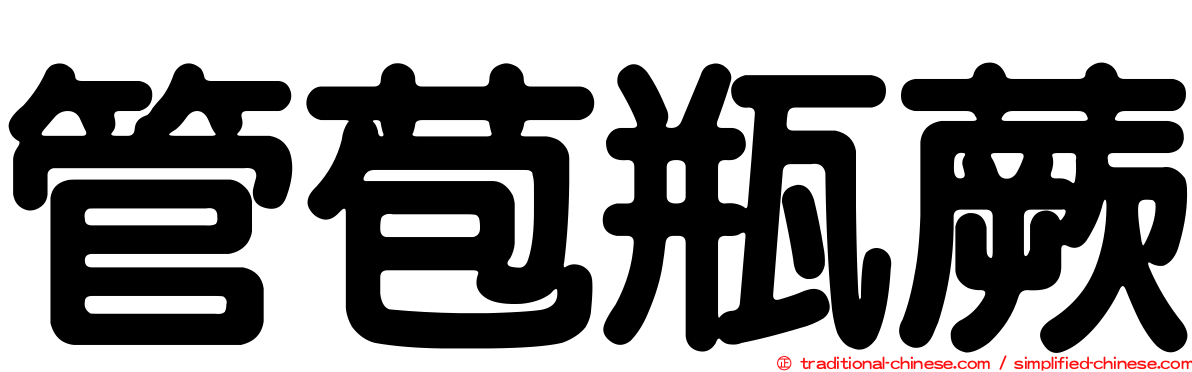 管苞瓶蕨