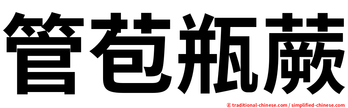 管苞瓶蕨