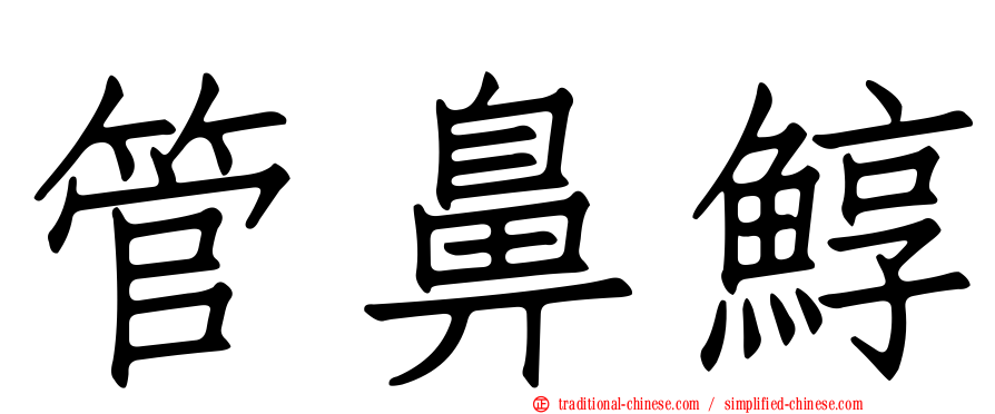 管鼻鯙