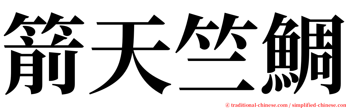 箭天竺鯛 serif font