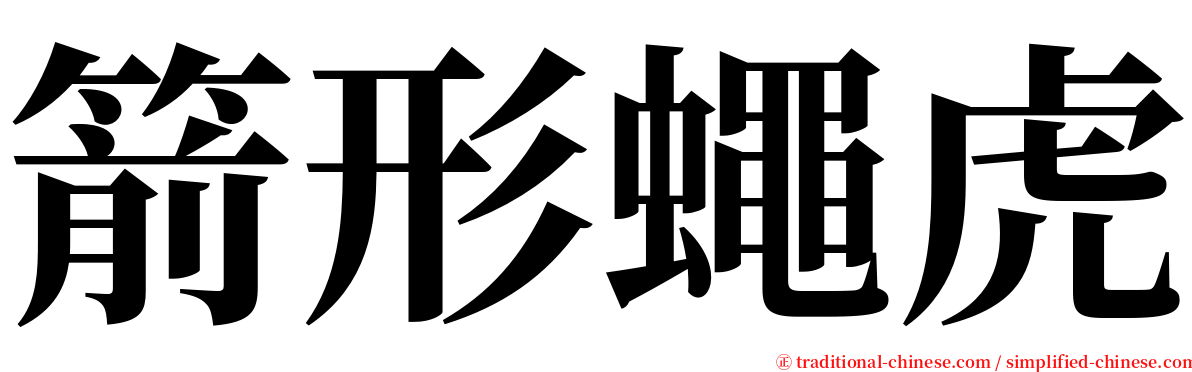 箭形蠅虎 serif font
