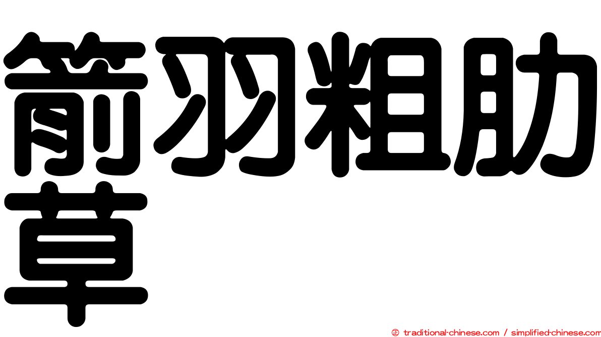 箭羽粗肋草