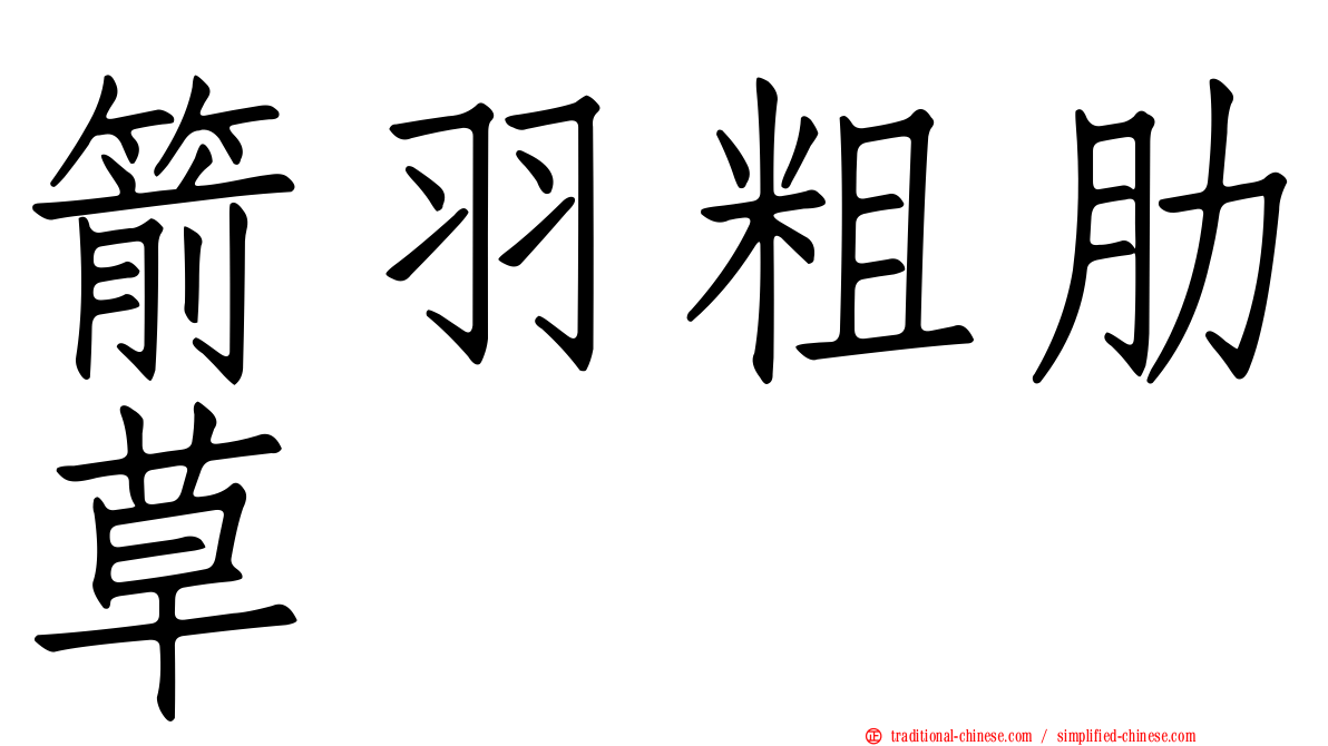 箭羽粗肋草