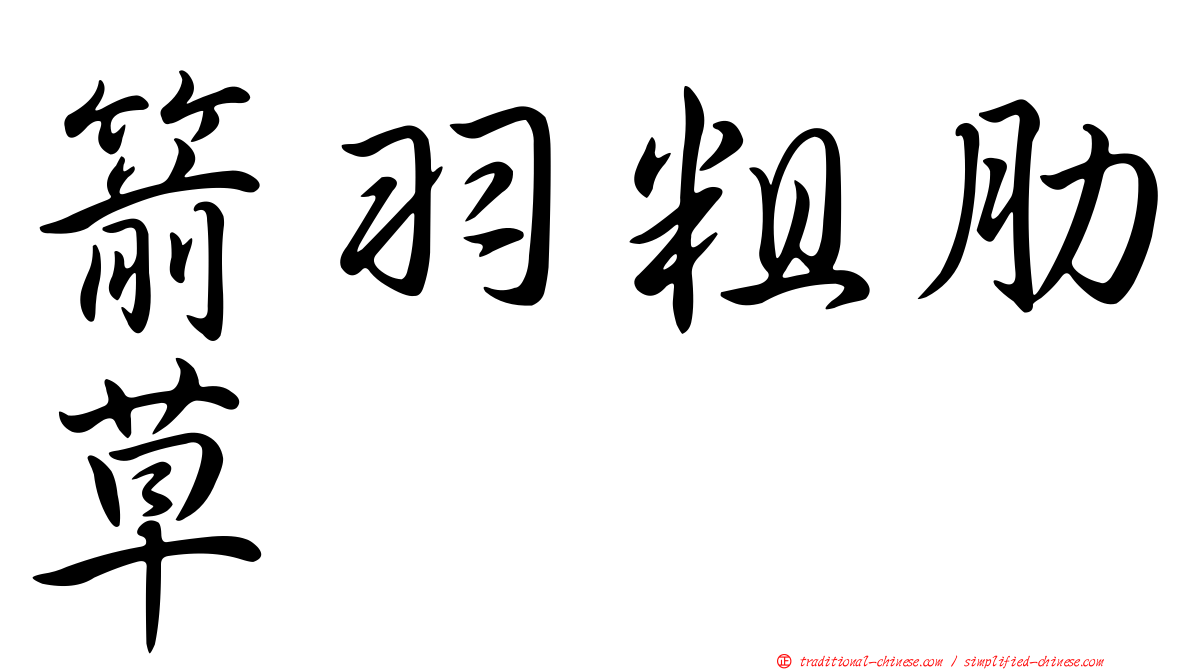 箭羽粗肋草