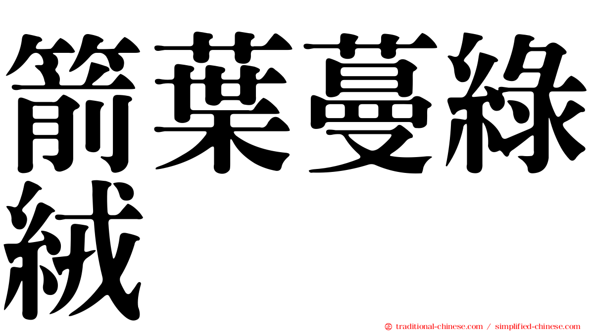 箭葉蔓綠絨