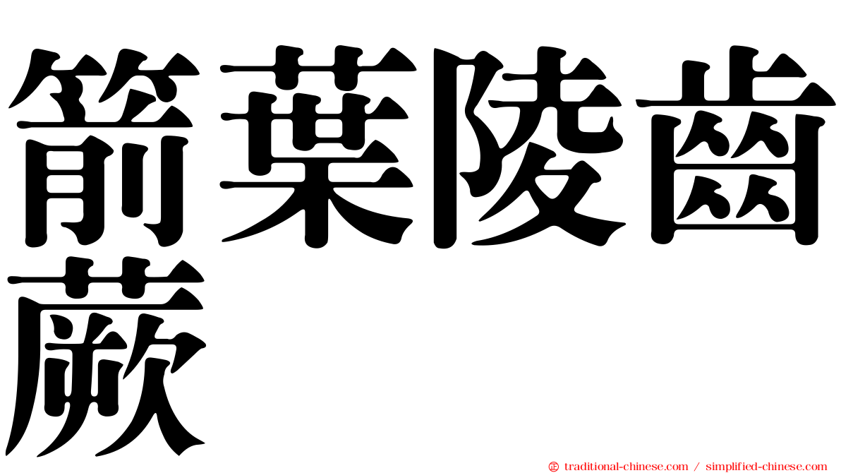 箭葉陵齒蕨