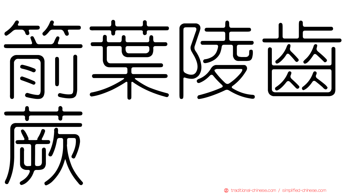箭葉陵齒蕨