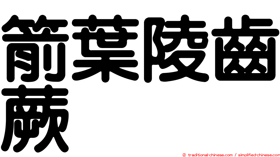 箭葉陵齒蕨
