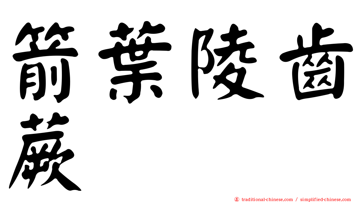 箭葉陵齒蕨