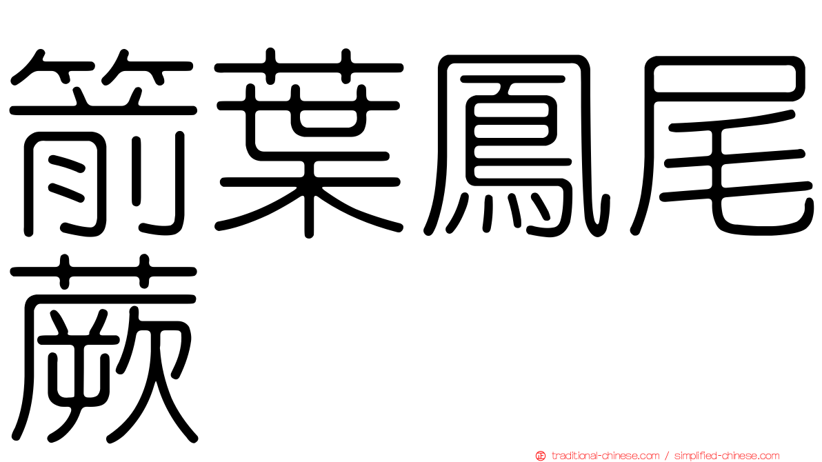 箭葉鳳尾蕨