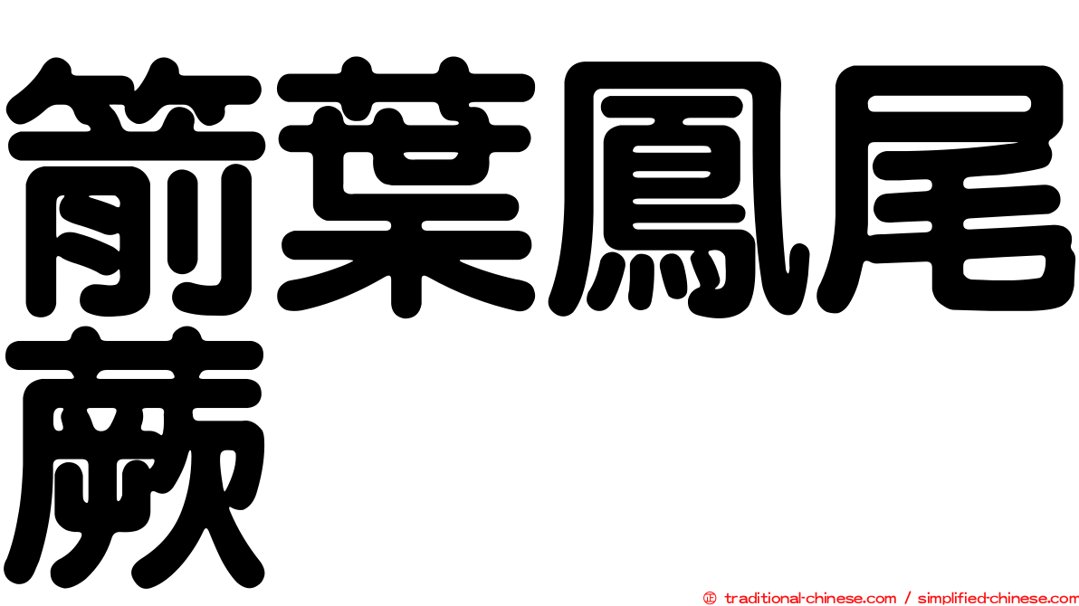 箭葉鳳尾蕨