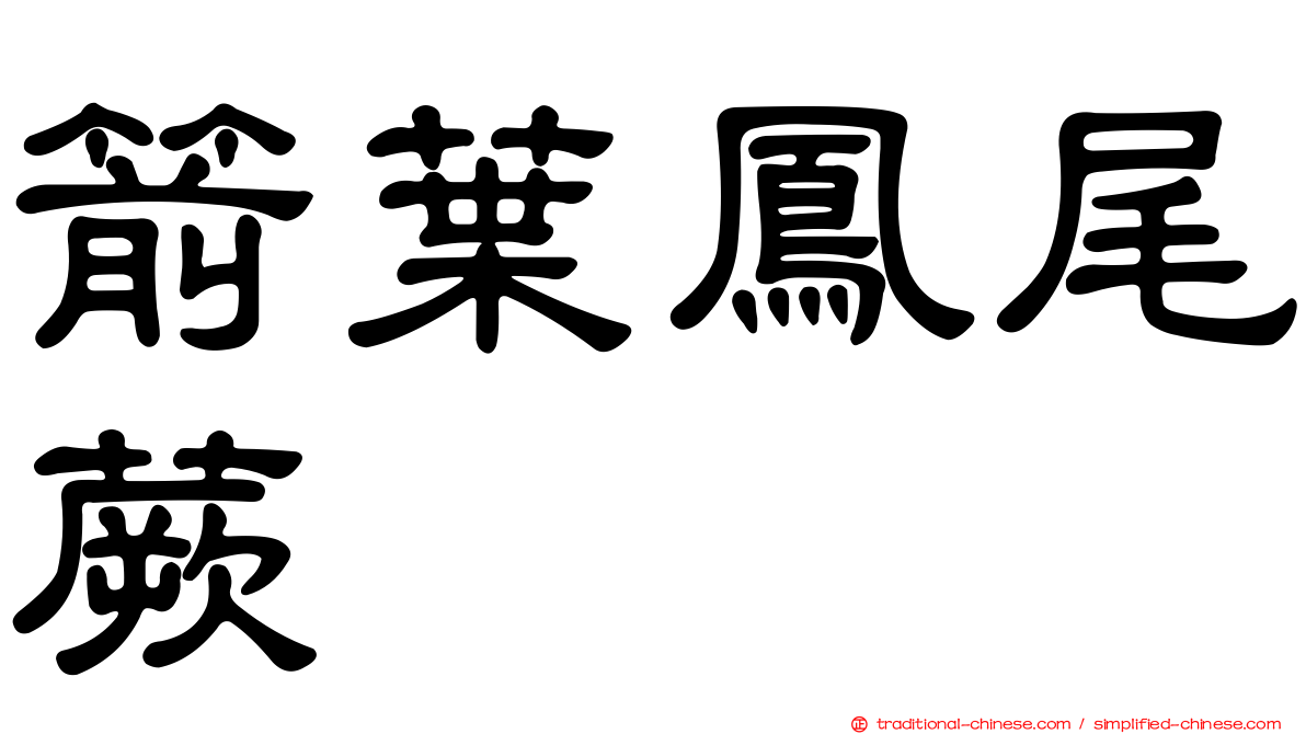 箭葉鳳尾蕨