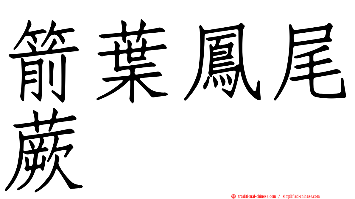 箭葉鳳尾蕨