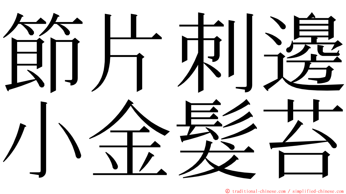 節片刺邊小金髮苔 ming font