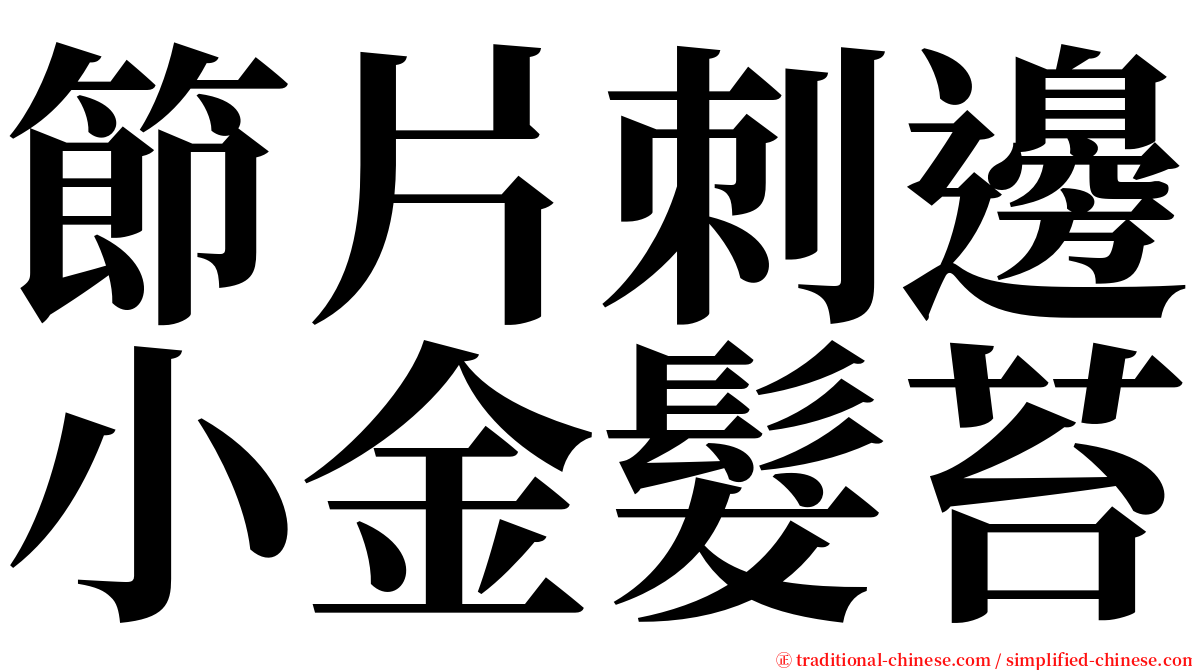 節片刺邊小金髮苔 serif font