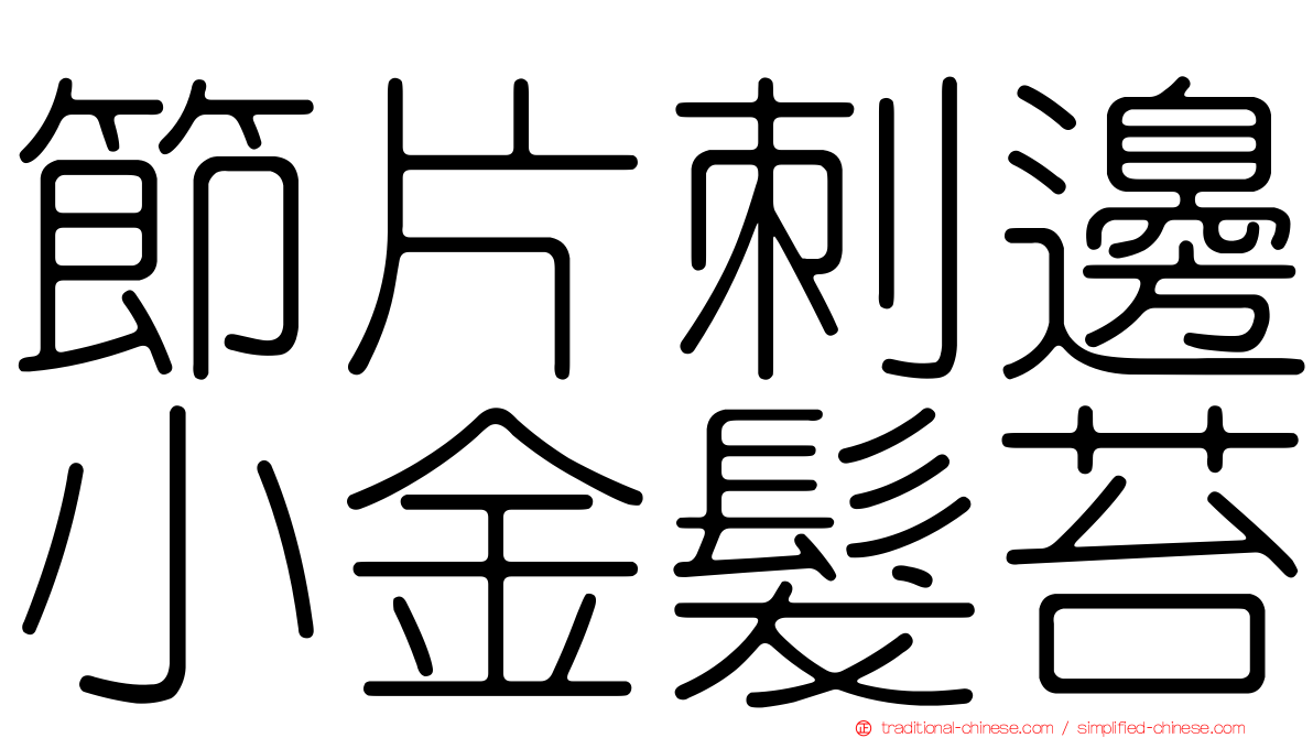 節片刺邊小金髮苔