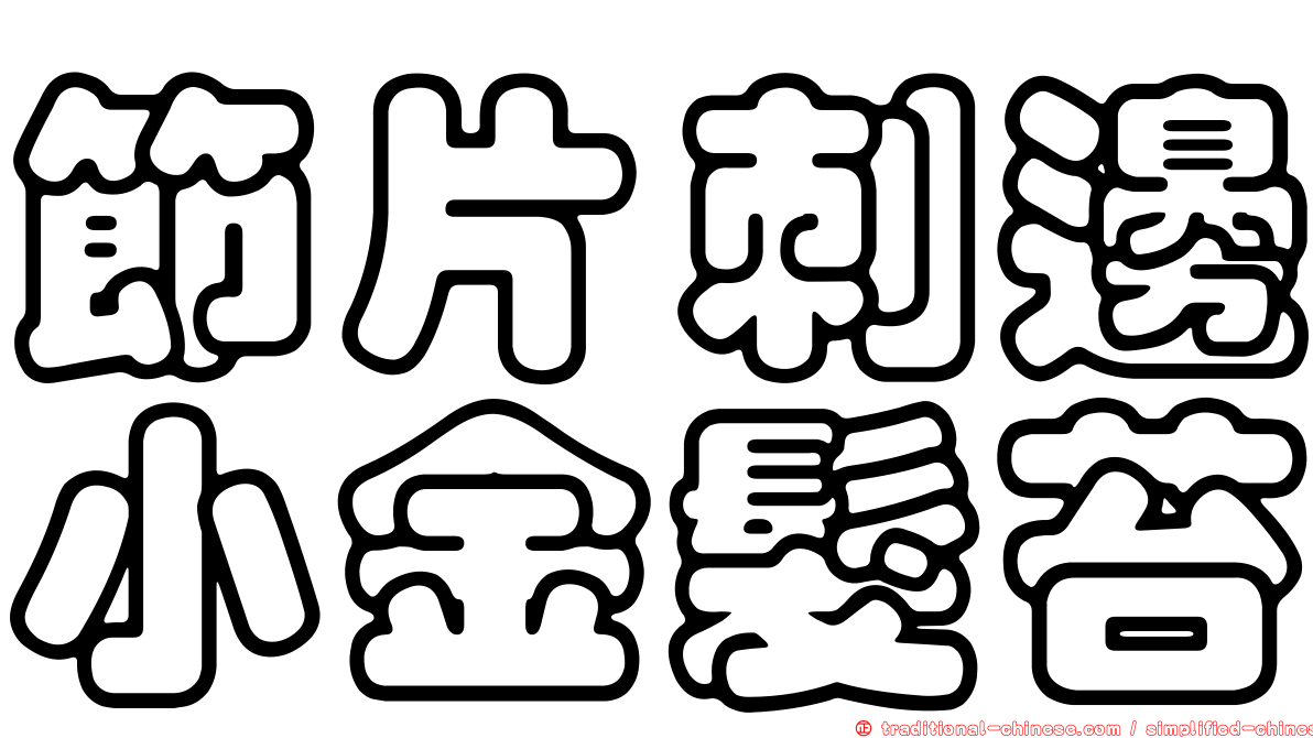 節片刺邊小金髮苔