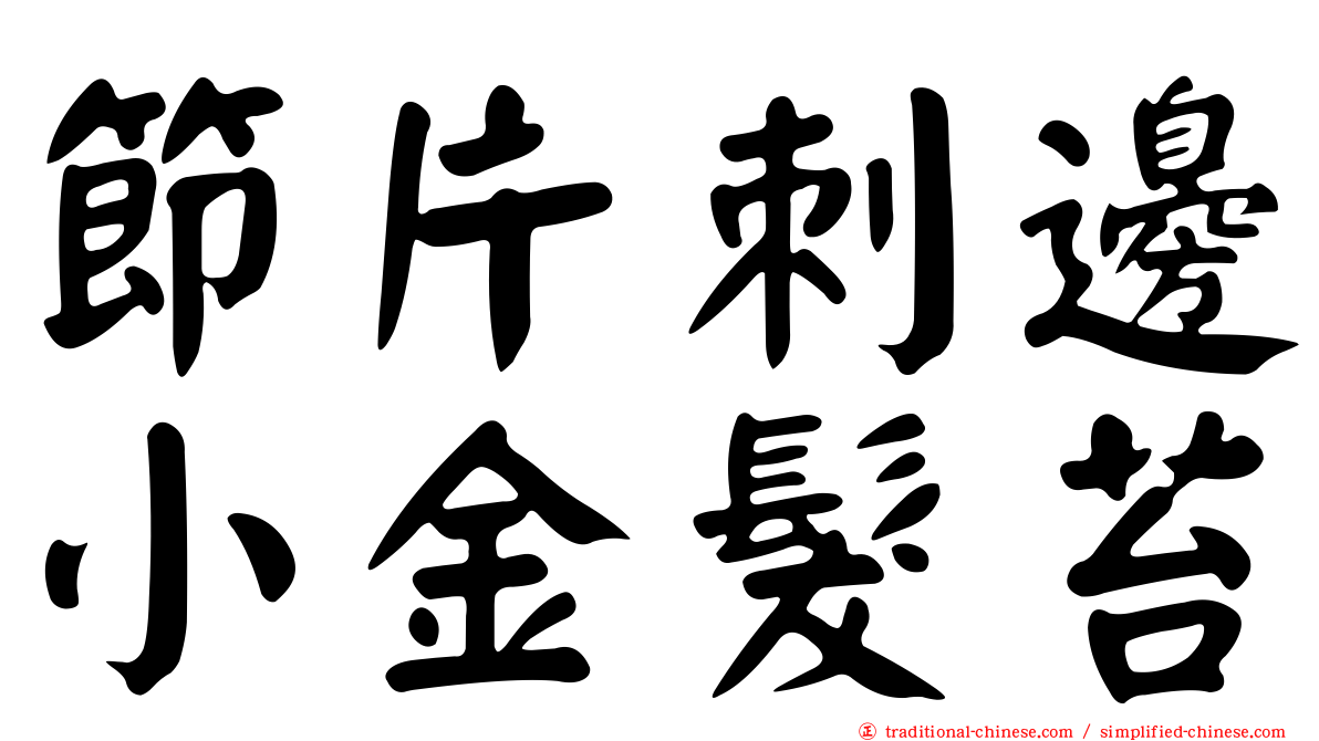 節片刺邊小金髮苔