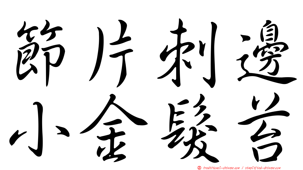 節片刺邊小金髮苔