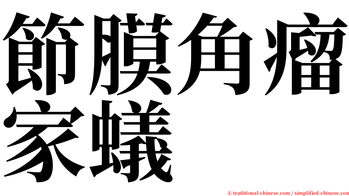 節膜角瘤家蟻 serif font