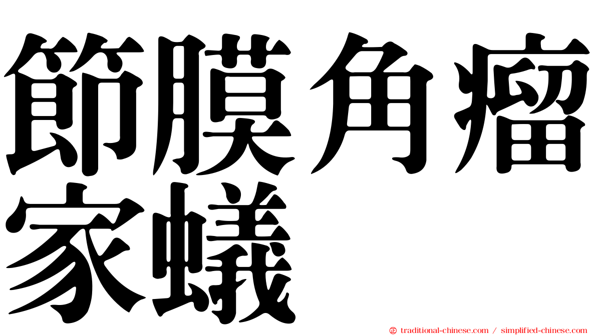 節膜角瘤家蟻