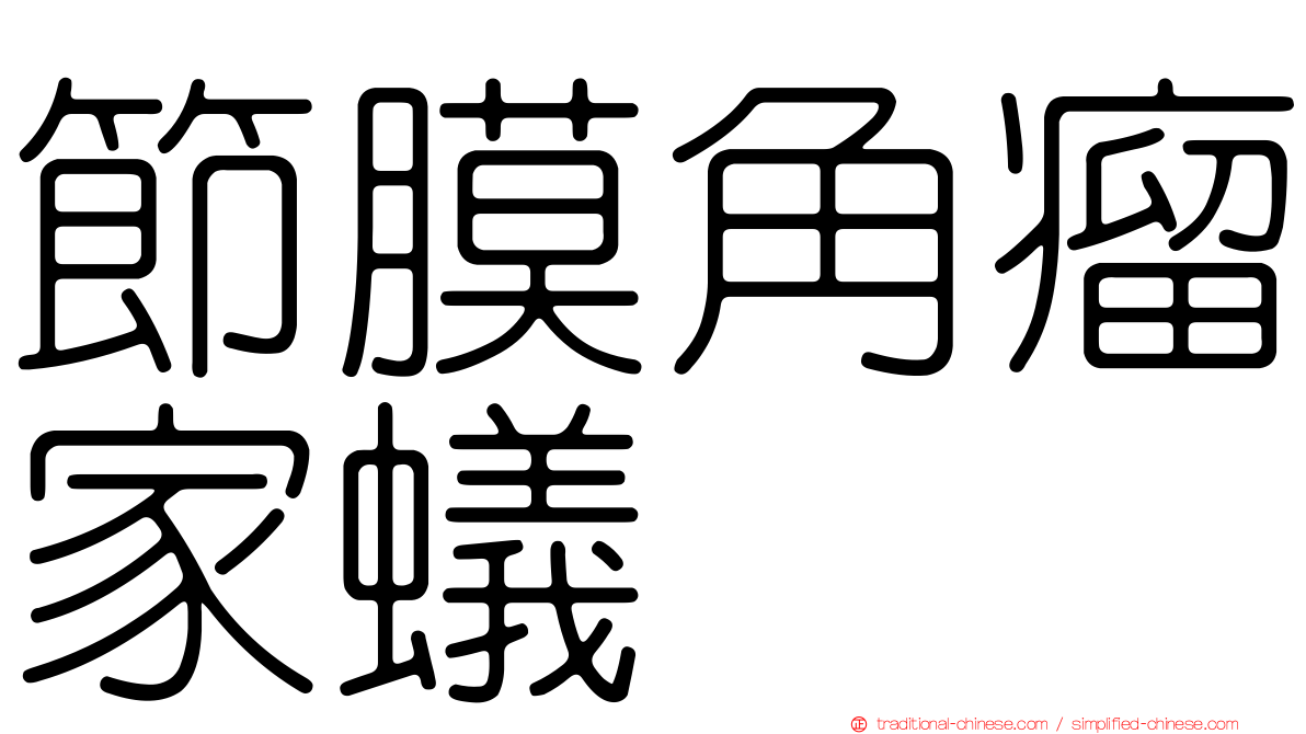 節膜角瘤家蟻