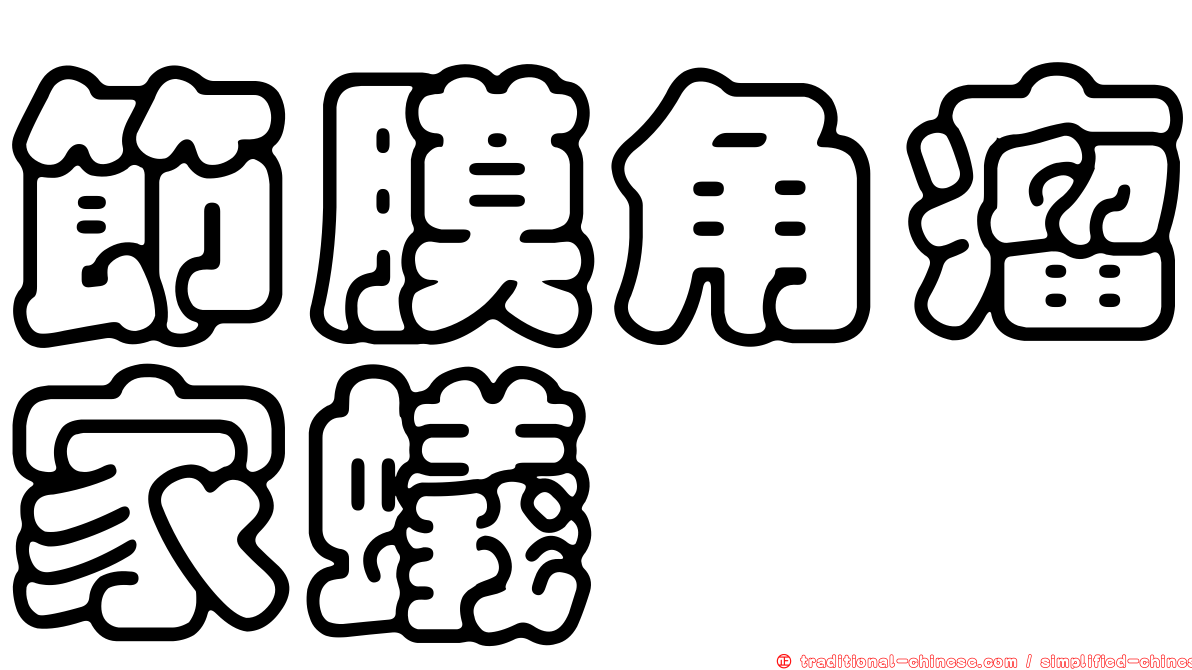 節膜角瘤家蟻