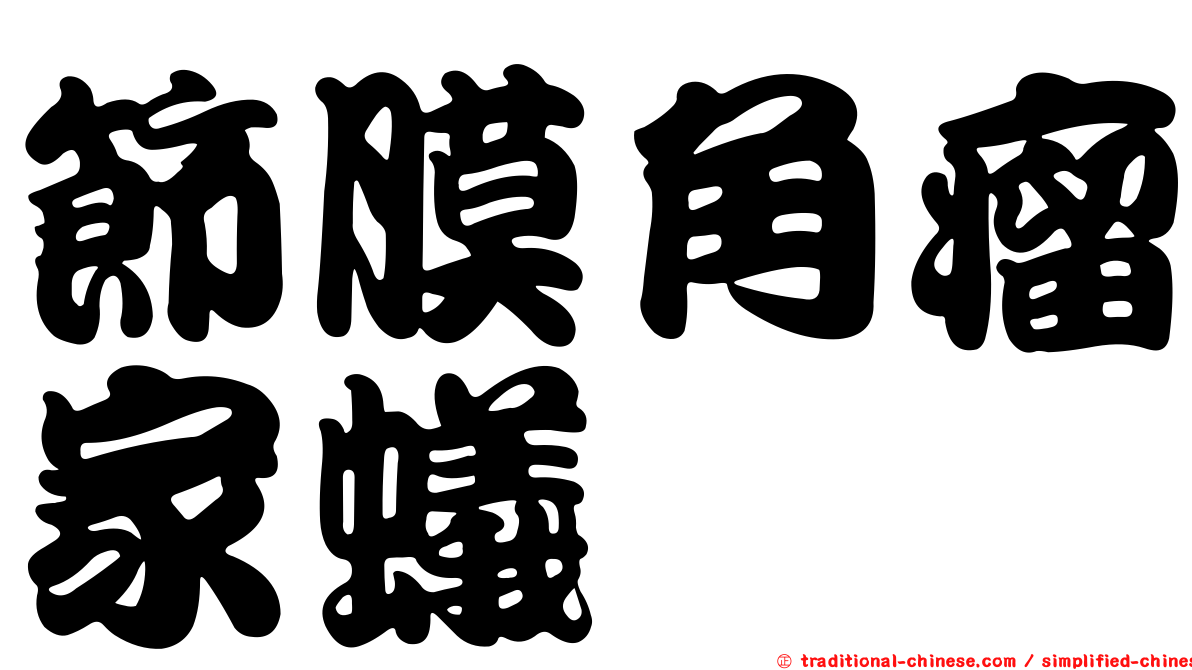 節膜角瘤家蟻
