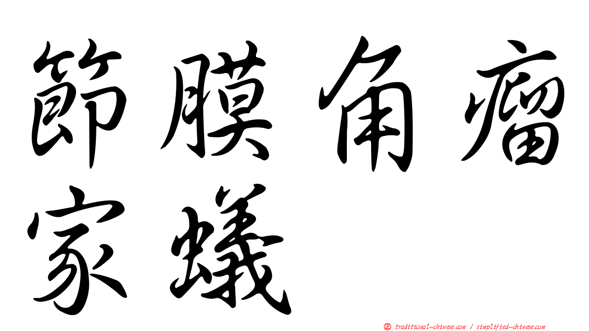 節膜角瘤家蟻