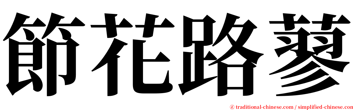 節花路蓼 serif font