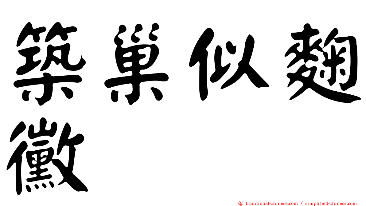 築巢似麴黴