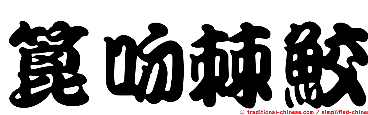 篦吻棘鮫