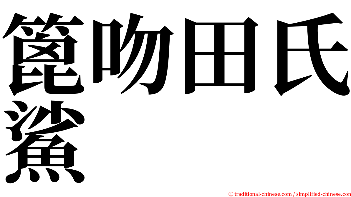篦吻田氏鯊 serif font