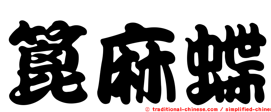 篦麻蝶