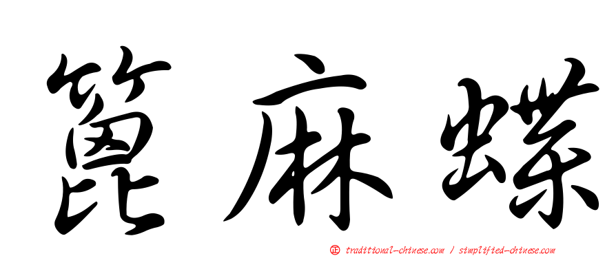 篦麻蝶