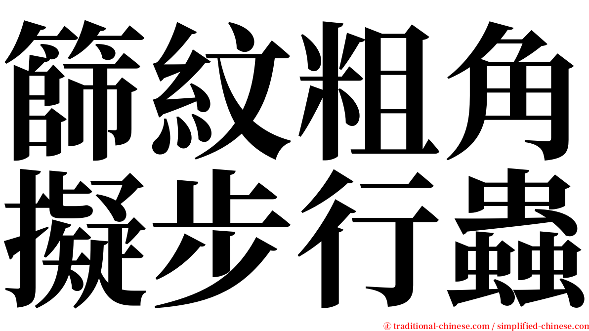 篩紋粗角擬步行蟲 serif font