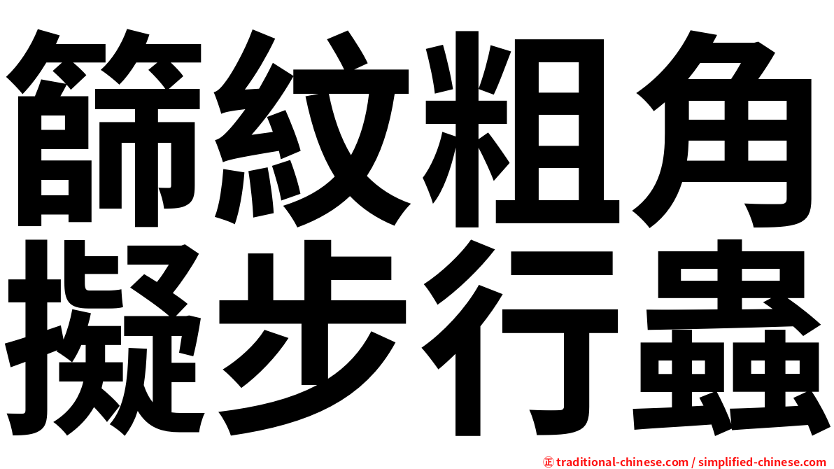 篩紋粗角擬步行蟲