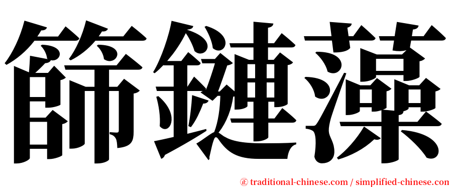 篩鏈藻 serif font
