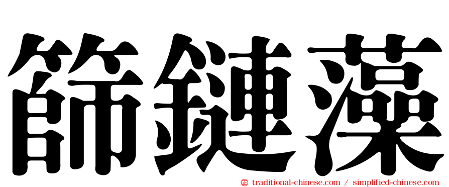 篩鏈藻