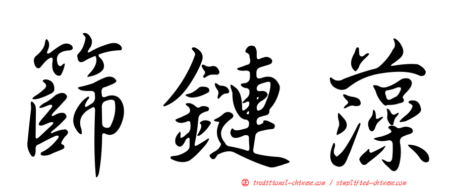 篩鏈藻