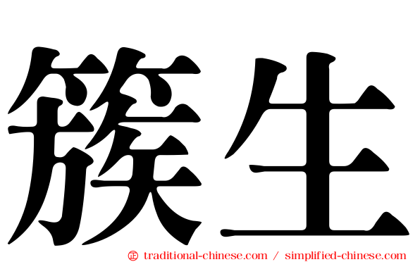 簇生